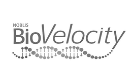 NOBLIS BIOVELOCITY trademark