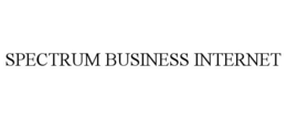 SPECTRUM BUSINESS INTERNET trademark