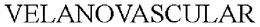 VELANOVASCULAR trademark