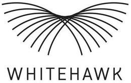 WHITEHAWK trademark