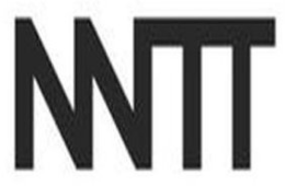 NNTT trademark