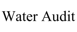 WATER AUDIT trademark