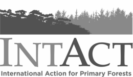 INTACT INTERNATIONAL ACTION FOR PRIMARYFORESTS trademark