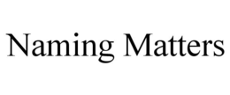 NAMING MATTERS trademark