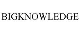 BIGKNOWLEDGE trademark