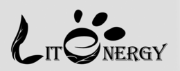LITENERGY trademark