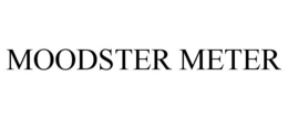 MOODSTER METER trademark
