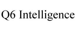 Q6 INTELLIGENCE trademark