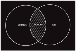 SCIENCE WONDER ART trademark