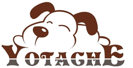 YOTACHE trademark