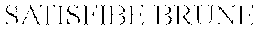 SATISFIBE BRUNE trademark