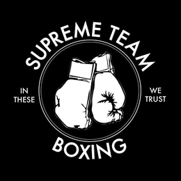 SUPREME TEAM BOXING IN THESE WE TRUST trademark