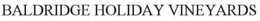 BALDRIDGE HOLIDAY VINEYARDS trademark