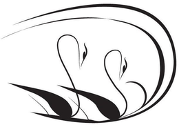 DSS trademark