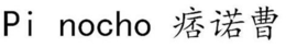 PI NOCHO trademark