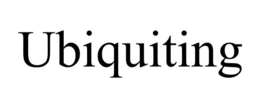 UBIQUITING trademark