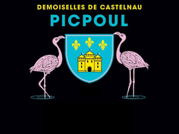DOMAINE DE CASTELNAU PICPOUL trademark