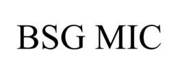 BSG MIC trademark