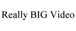 REALLY BIG VIDEO trademark