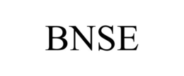 BNSE trademark
