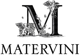 M MATERVINI trademark