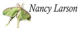 NANCY LARSON trademark