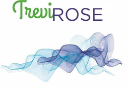 TREVI ROSE trademark