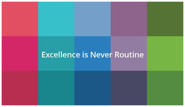 EXCELLENCE IS NEVER ROUTINE trademark