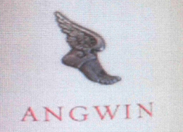 ANGWIN trademark