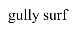GULLY SURF trademark