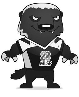 MLSP trademark