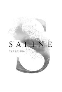 S SALINE TXAKOLINA trademark
