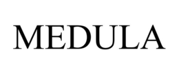 MEDULA trademark