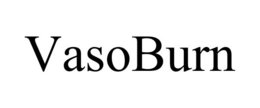 VASOBURN trademark