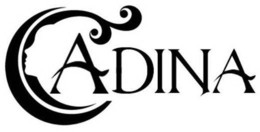 ADINA trademark