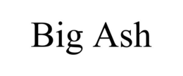 BIG ASH trademark