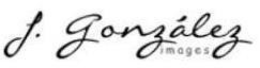 J. GONZALEZ IMAGES trademark