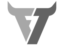 FT trademark