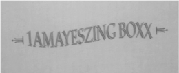 1AMAYESZINGBOXX trademark