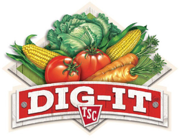 DIG-IT TSC trademark