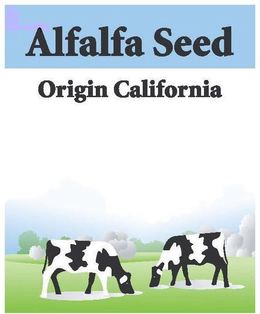 ALFALFA SEED ORIGIN CALIFORNIA trademark