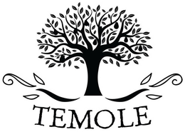 TEMOLE trademark
