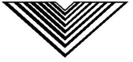 V trademark