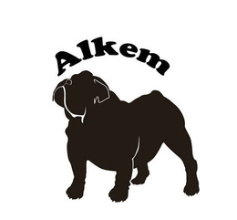 ALKEM trademark