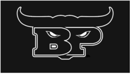 BP trademark
