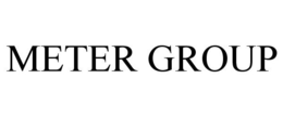 METER GROUP trademark