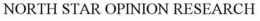 NORTH STAR OPINION RESEARCH trademark