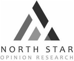 NORTH STAR OPINION RESEARCH trademark