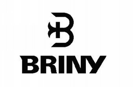 B BRINY trademark
