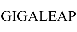 GIGALEAP trademark